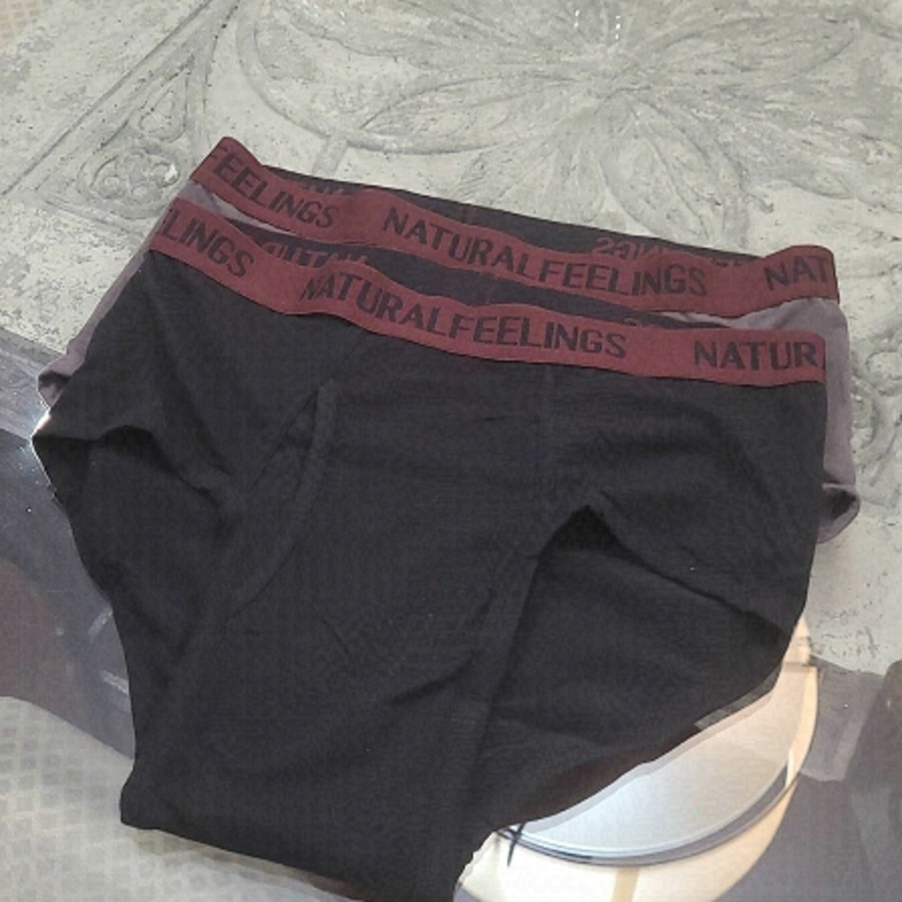 NATURAL FEELINGS PAIR OF BRIEFS LARGE